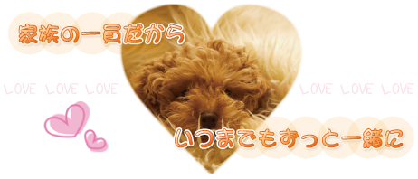 家族の一員だから//いつまでもずっと一緒に